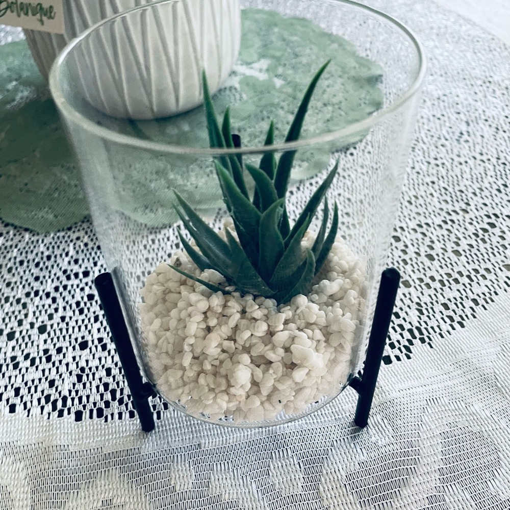 Glass Terrarium with Green Succulent